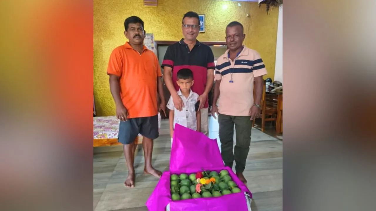 Devgad Hapus mangoes grown by farmer Nilesh Bandkar sent to Vashi Market