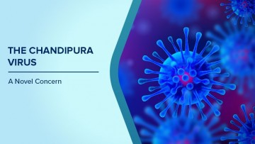 https://prudent.blr1.digitaloceanspaces.com/kokansad/uploads/article/sml_32145_pic_20260804.1749.jpeg