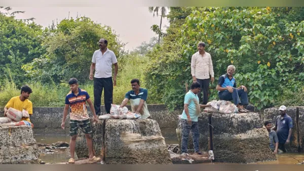 वेंगुर्ला नगरपरिषदेच्या वतीने सुंदर भाटले येथे लोकसहभागातून वनराई बंधारा पूर्ण