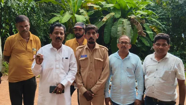 साटेली-भेडशीत महावितरणचा कंत्राटी कर्मचारी खांबावरून पडून जखमी