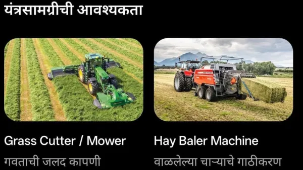Save the grass :आजचे गवत वाचवा, उद्याचे पशुधन जगवा  