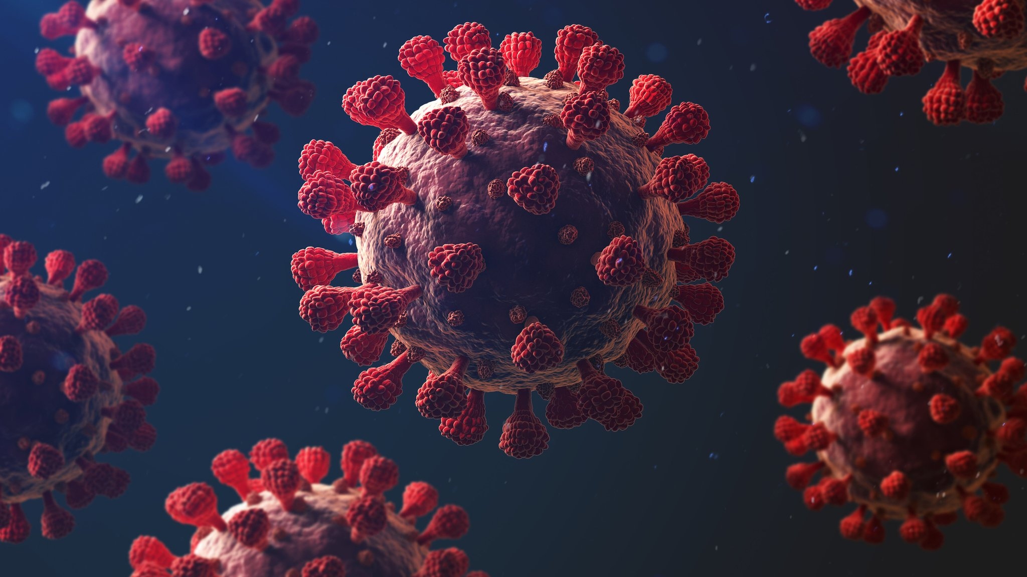 THE JOYFUL MYSTERIES OF OMICRON AND OTHER VIRUSES