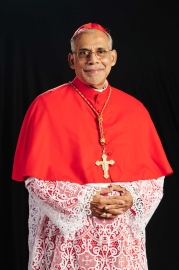WAR IN MIDDLE EAST | Cardinal FerrÃ£o appeals for prayers, penance in churches across India