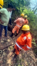 Dog rescued from cave in Chicalim