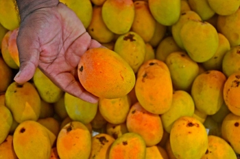 Malcorado remains a costly delight even as prices ease