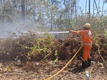 Massive fire erupts near Honda   petrol pump, hits plantations