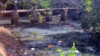 Residents raise alarm as Vasco creek turns health hazard