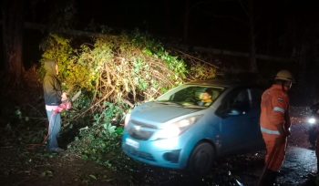 Strong winds batter Sattari,  leave a trail of destruction
