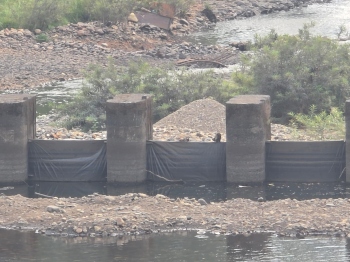 Sand mining gangs remove   check dam plates in Sattari
