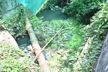 Sewage accumulates in storm water drain at  entrance of district hospital