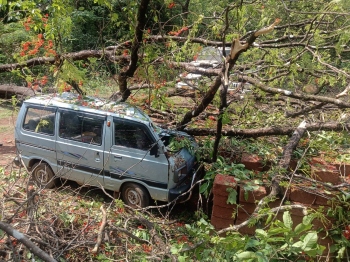 Gulmohar tree falls on parked car at Koparde