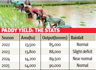 Below-average monsoon forecast keeps paddy farmers, officials on tenterhooks