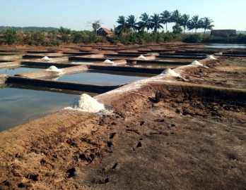 Changing weather patterns threaten Goa's salt makers