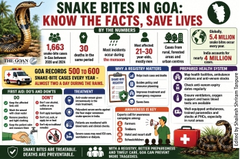 State reports nearly two snake bites daily: Study