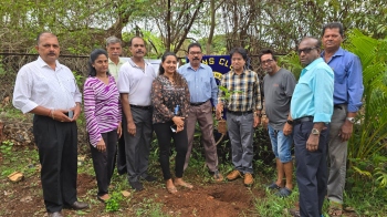 Plant trees, reduce plastic use to   save environment, residents told
