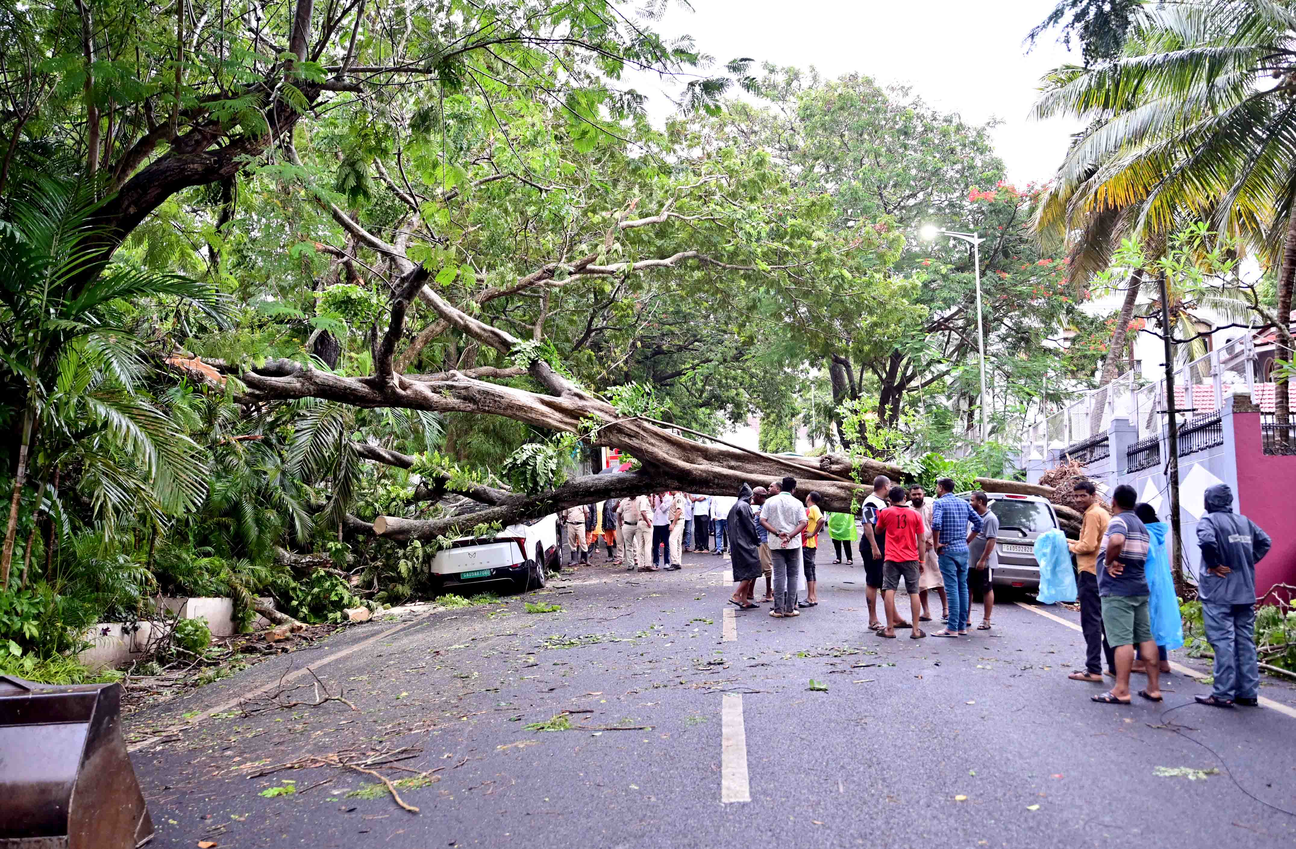 Monsoon makes strong comeback,  Orange alert sounded for June 25