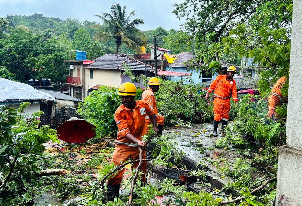 Pernem bears brunt of rain fury as trees fall
