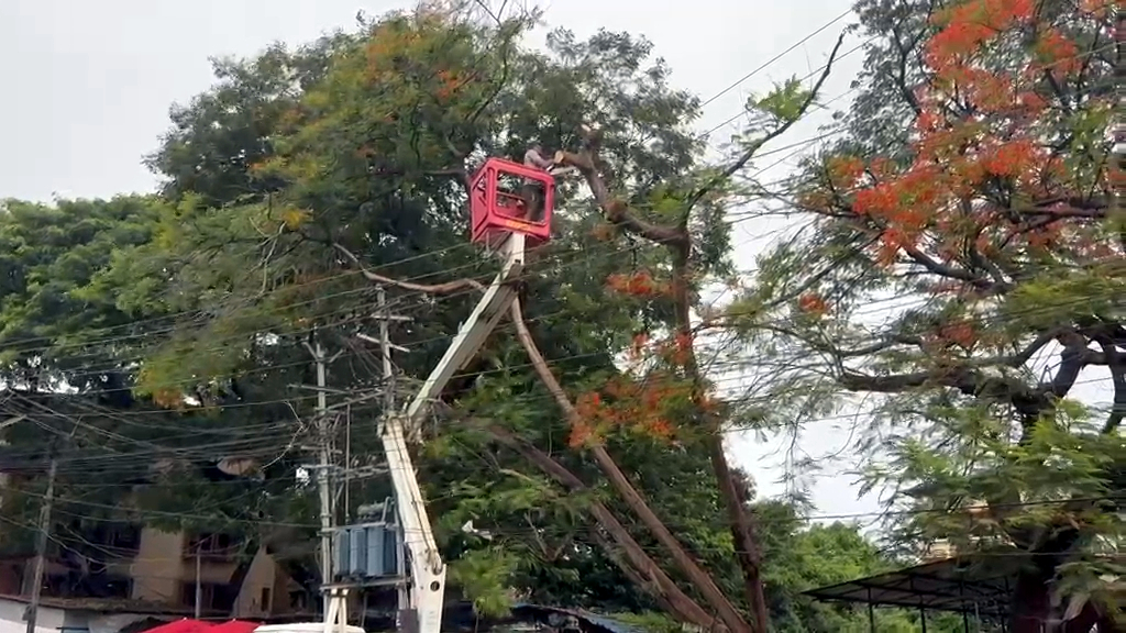 Trees collapse on roads, power lines as storm batters Vasco