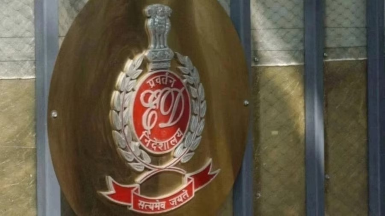 Goa among key locations in ED's Rs 195 cr timbe...