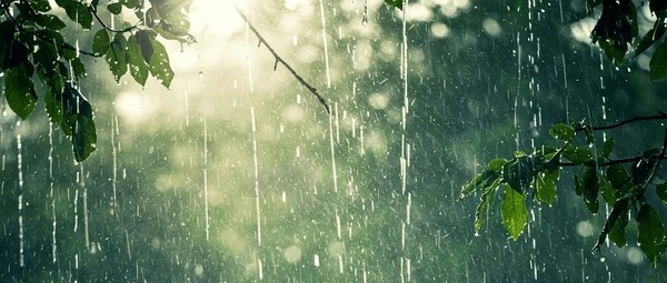 Active monsoon spell in State till July 10;   r...