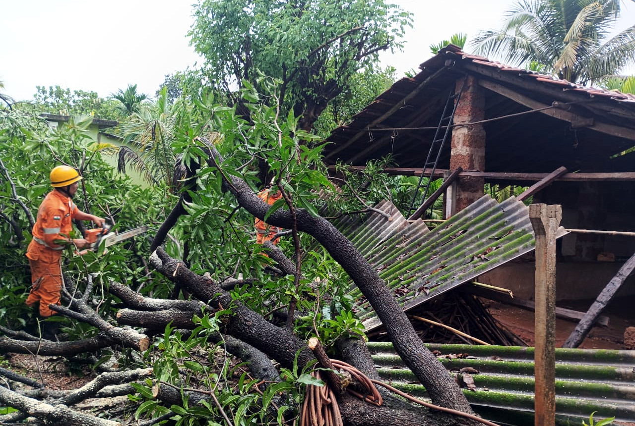 Heavy rainfall, strong winds   wreak havoc across Sattari