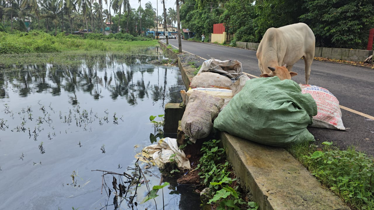 Garbage dumping blocks drainage at Kattewada, M...