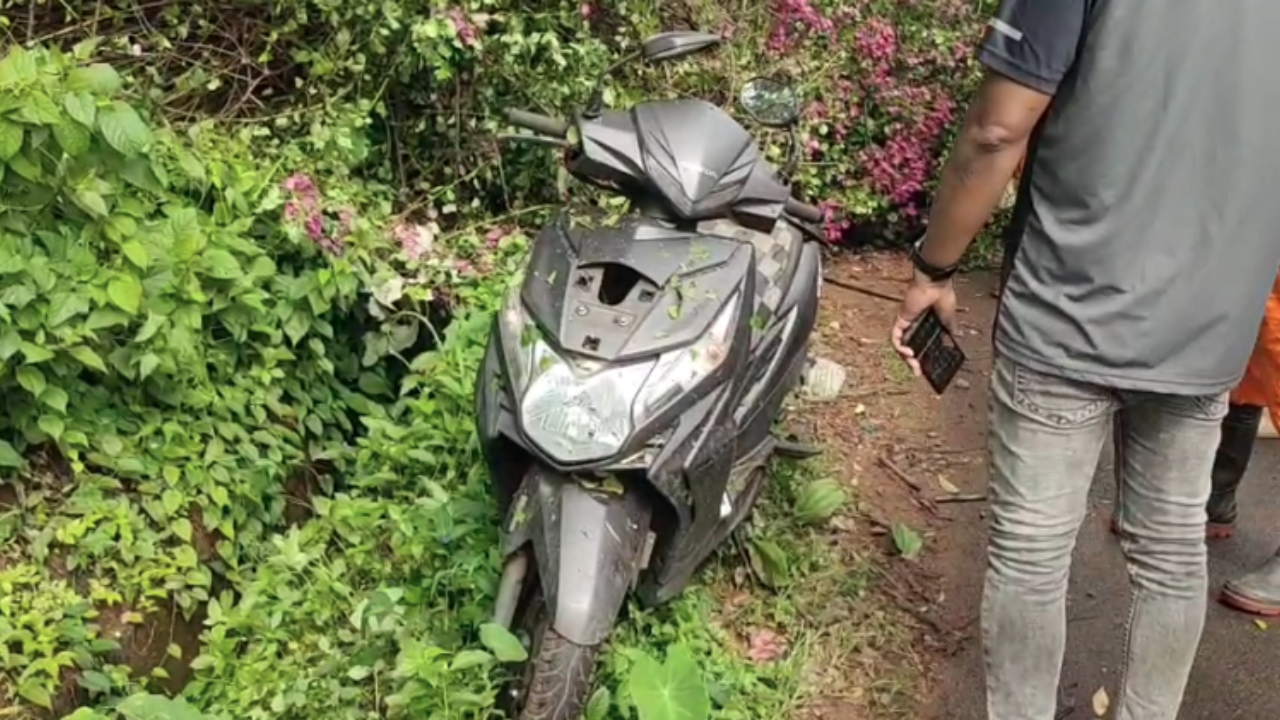 Scooter rider killed after huge tree crashes onto busy Matve-Dabolim road