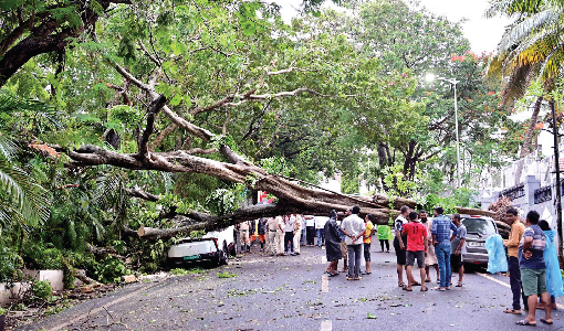 MONSOON MISHAP